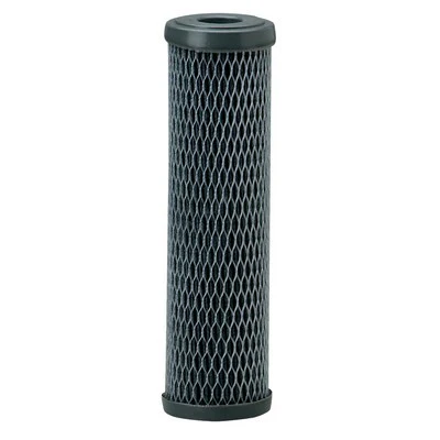 Pentair Water Filter | Carbon Water Filter 2.5" x 10" | 155220-43
